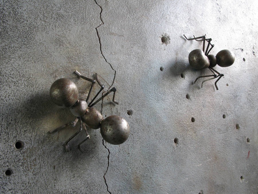 img-ants-001